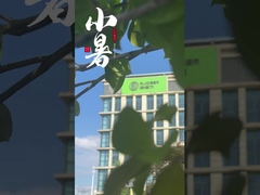 中国製真空合金炉のサプライヤー